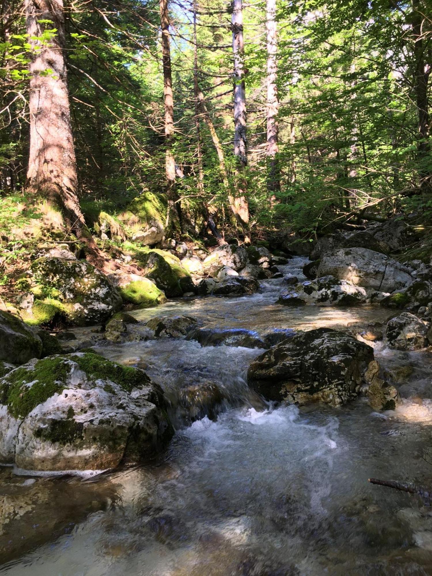 Cozy Private Cabin In The Heart Of Triglav National Park Трента Экстерьер фото
